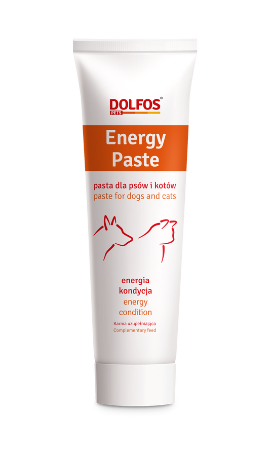 DOLVIT ENERGY PASTE